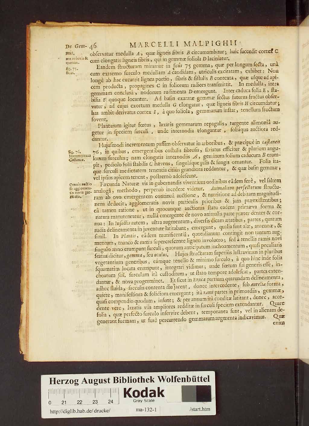 http://diglib.hab.de/drucke/ma-132-1/00068.jpg