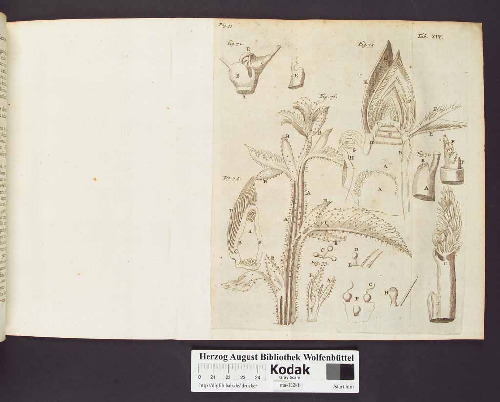 http://diglib.hab.de/drucke/ma-132-1/00068a.jpg