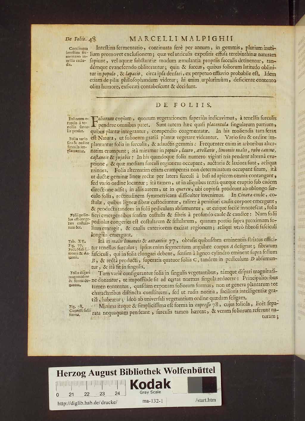 http://diglib.hab.de/drucke/ma-132-1/00070.jpg