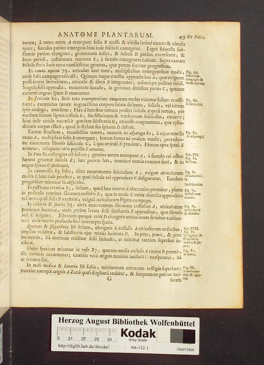 http://diglib.hab.de/drucke/ma-132-1/00071.jpg