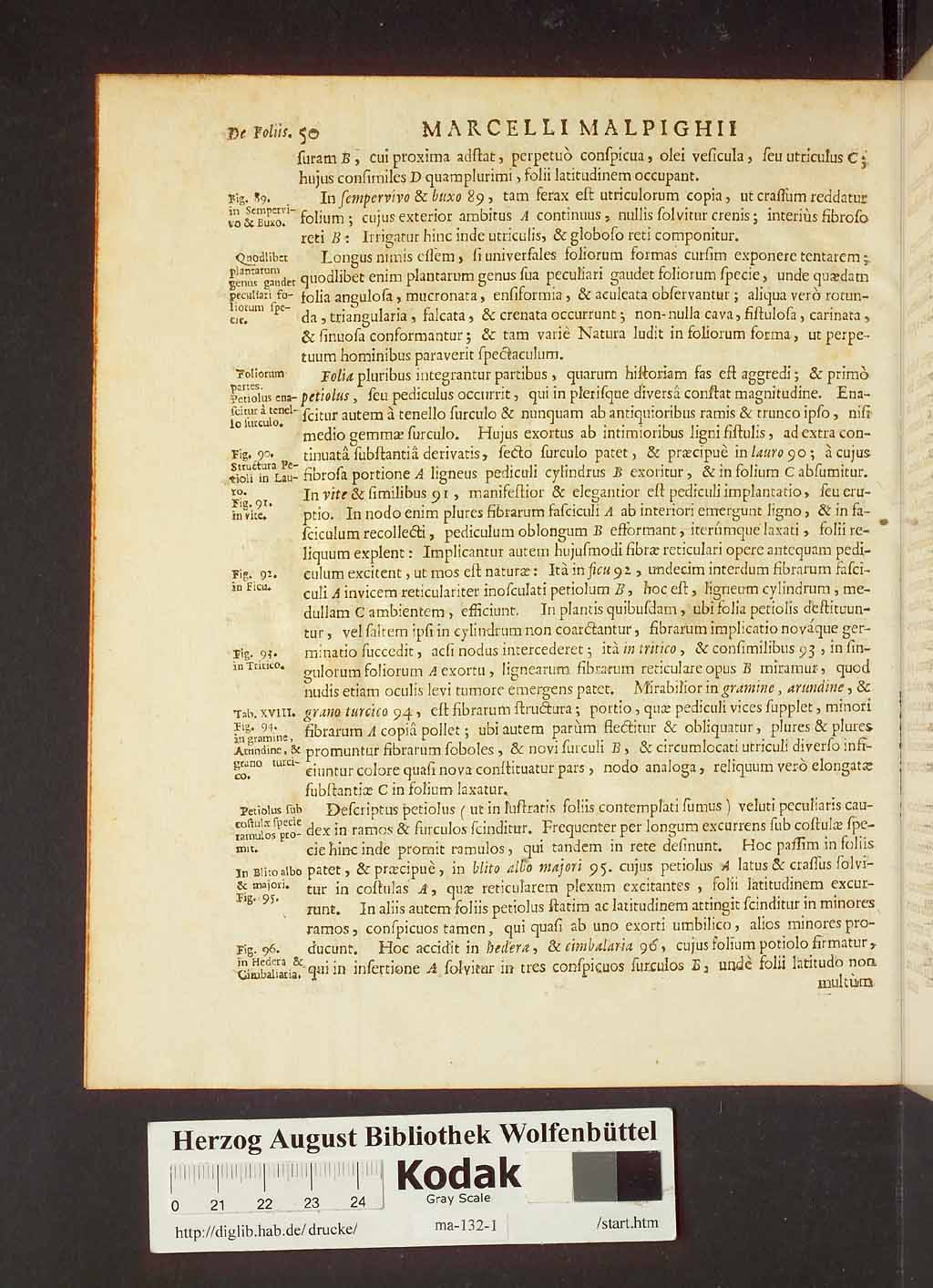 http://diglib.hab.de/drucke/ma-132-1/00072.jpg