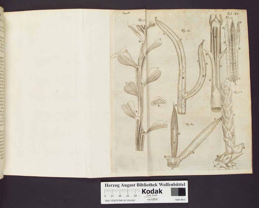 http://diglib.hab.de/drucke/ma-132-1/00072a.jpg