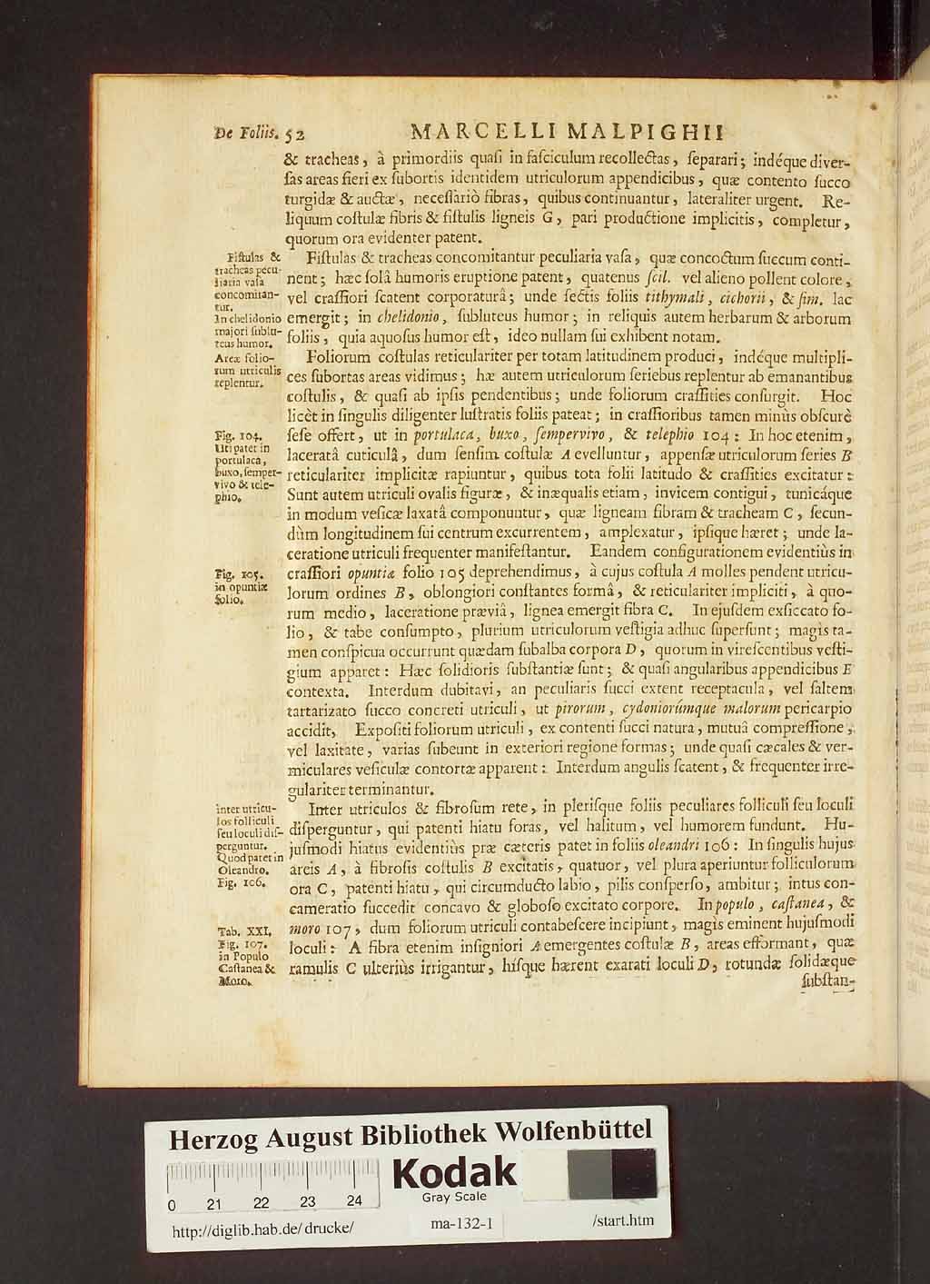 http://diglib.hab.de/drucke/ma-132-1/00074.jpg