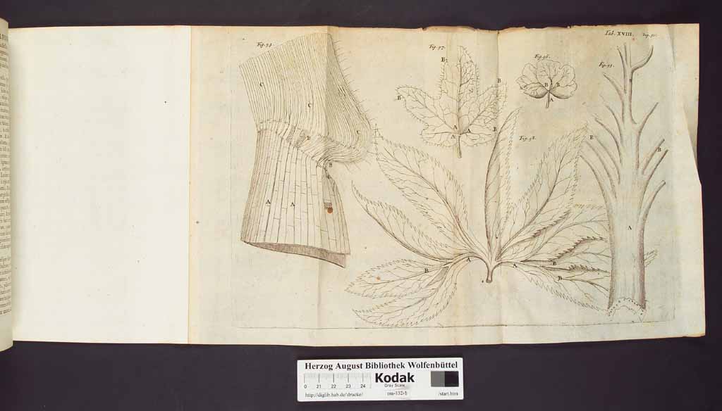 http://diglib.hab.de/drucke/ma-132-1/00074a.jpg