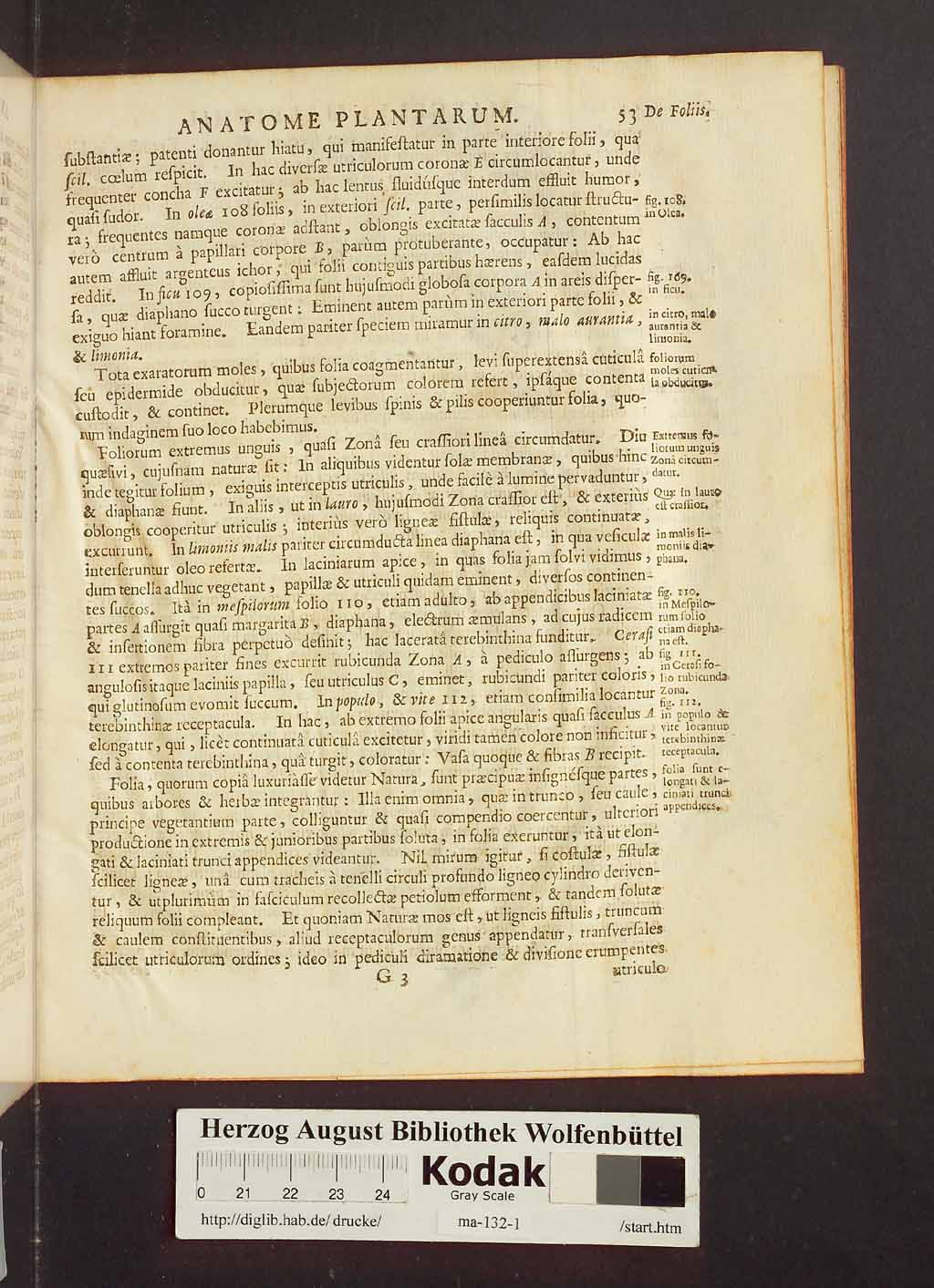 http://diglib.hab.de/drucke/ma-132-1/00075.jpg