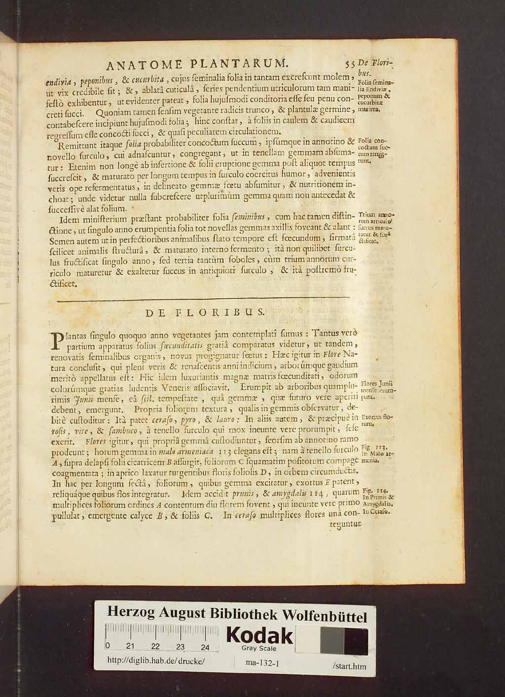 http://diglib.hab.de/drucke/ma-132-1/00077.jpg