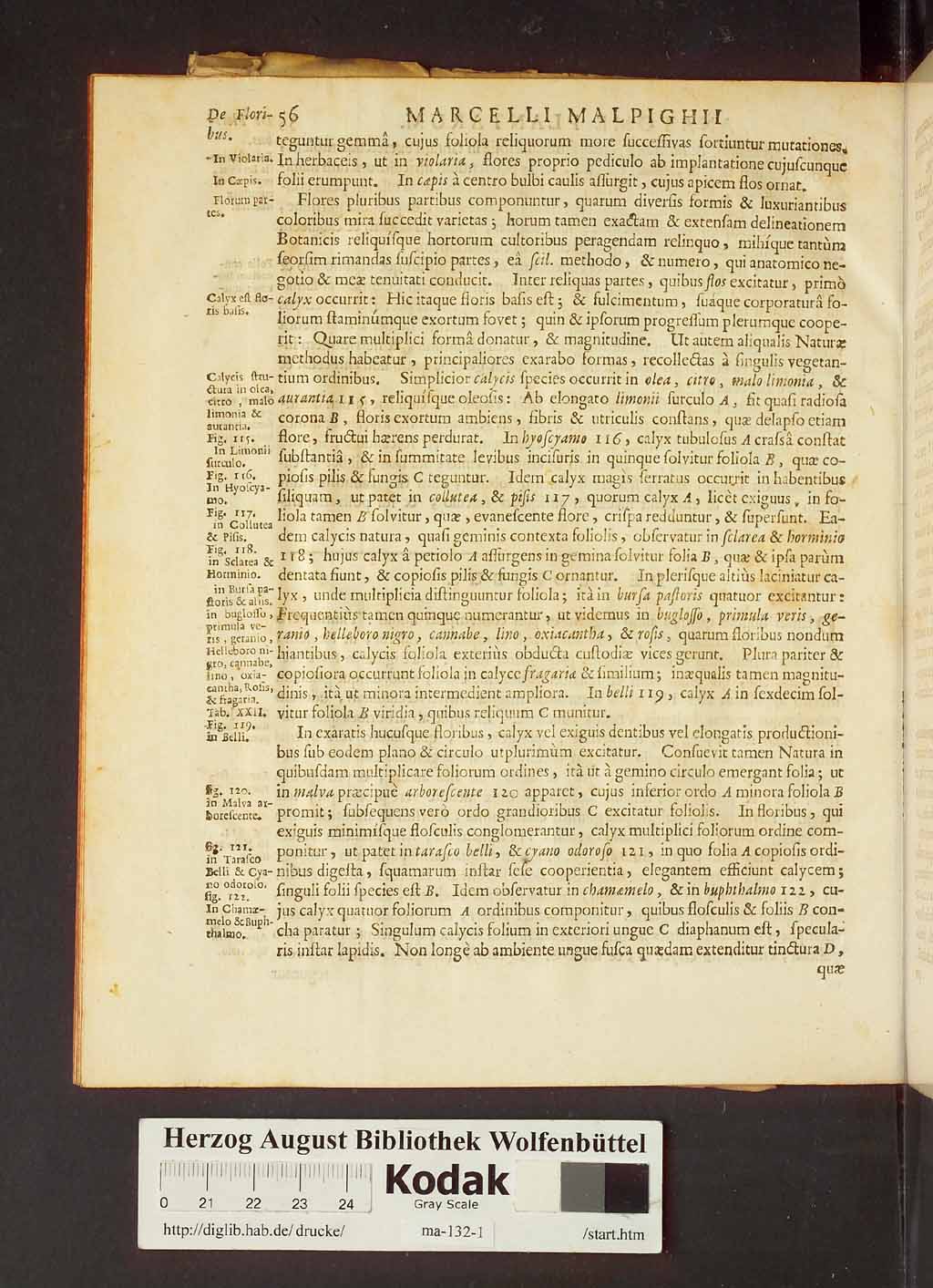 http://diglib.hab.de/drucke/ma-132-1/00078.jpg