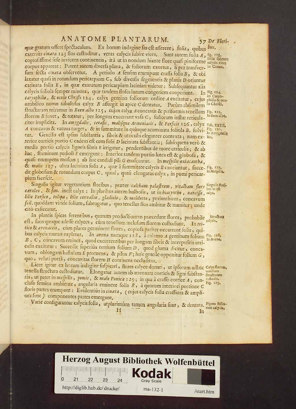 http://diglib.hab.de/drucke/ma-132-1/00079.jpg