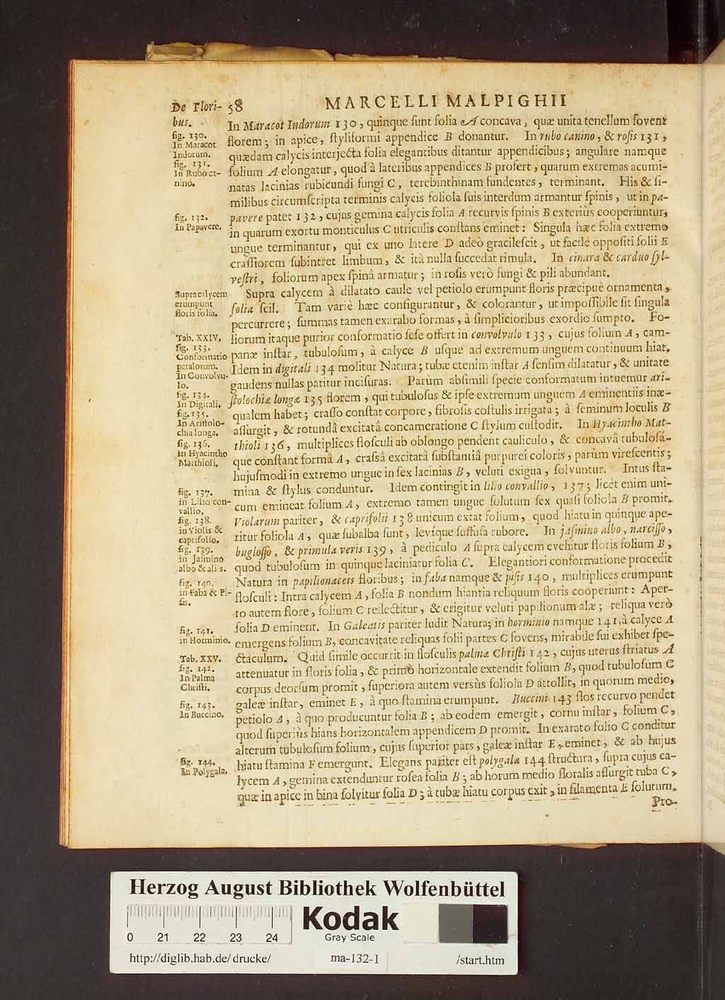 http://diglib.hab.de/drucke/ma-132-1/00080.jpg