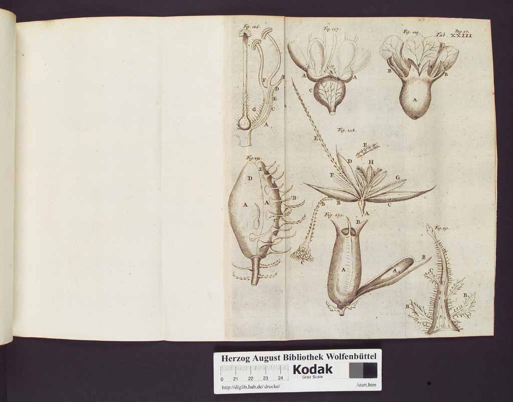 http://diglib.hab.de/drucke/ma-132-1/00080b.jpg