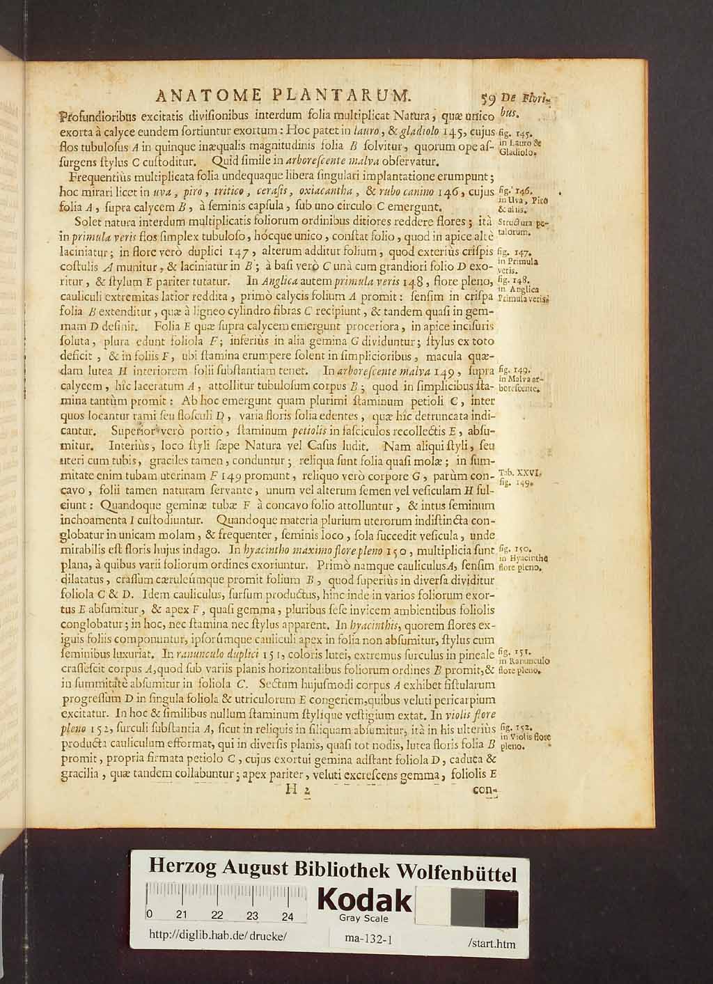 http://diglib.hab.de/drucke/ma-132-1/00081.jpg