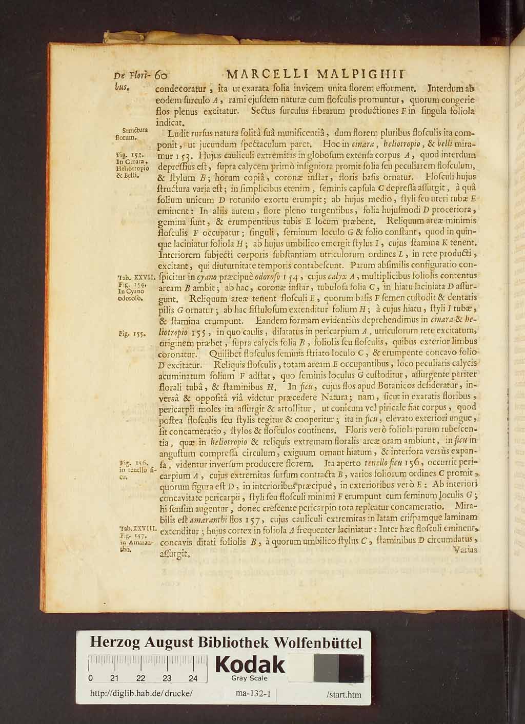 http://diglib.hab.de/drucke/ma-132-1/00082.jpg