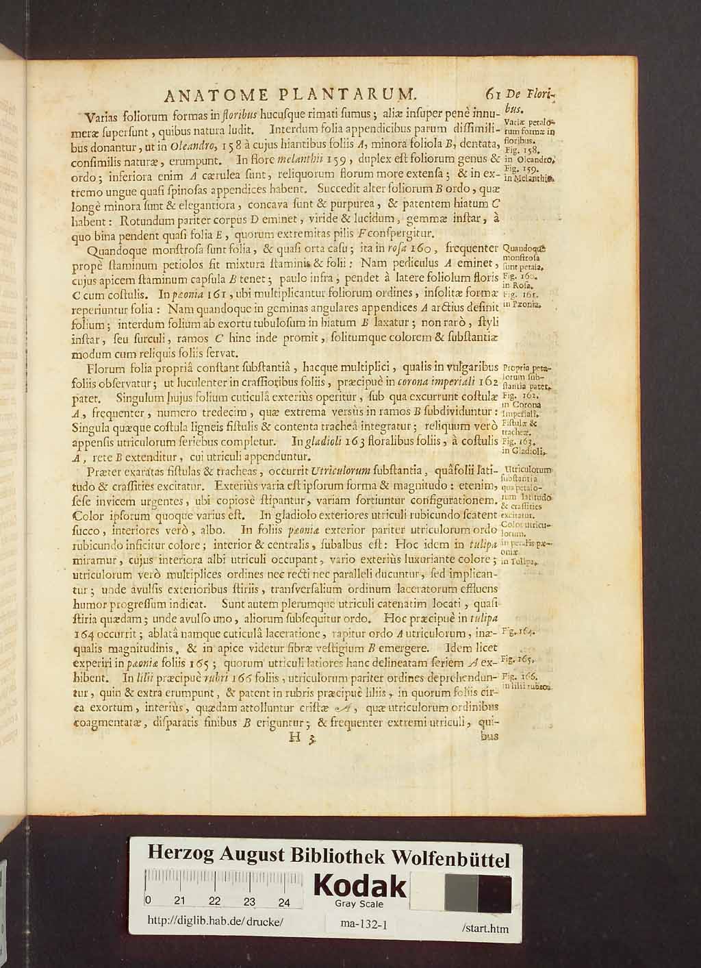 http://diglib.hab.de/drucke/ma-132-1/00083.jpg