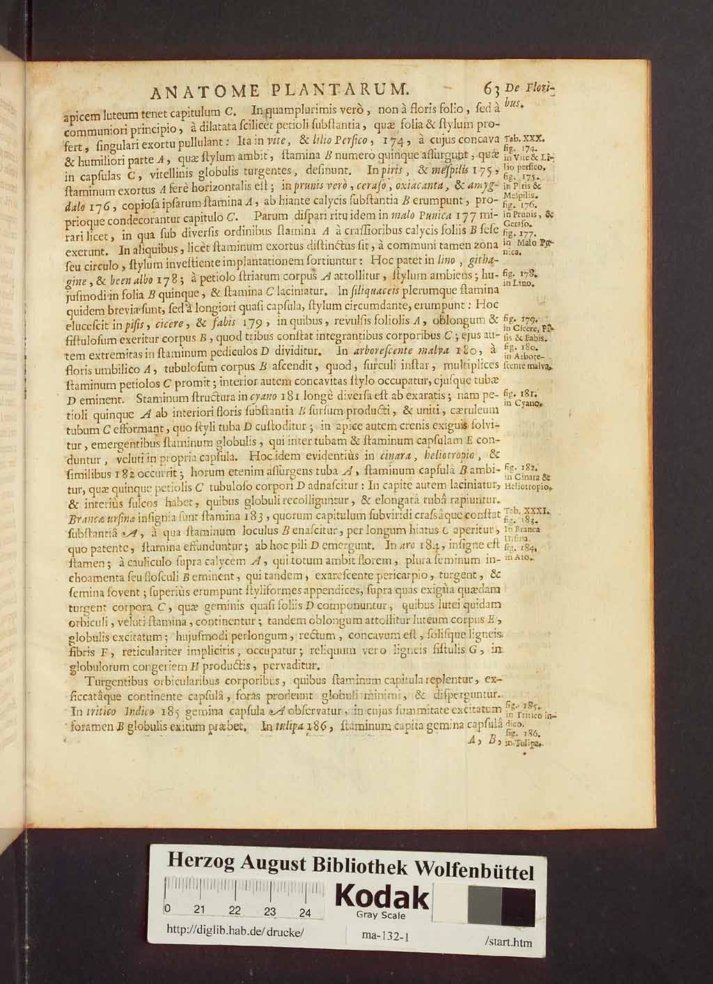 http://diglib.hab.de/drucke/ma-132-1/00085.jpg