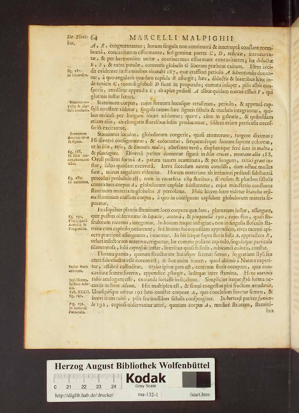 http://diglib.hab.de/drucke/ma-132-1/00086.jpg