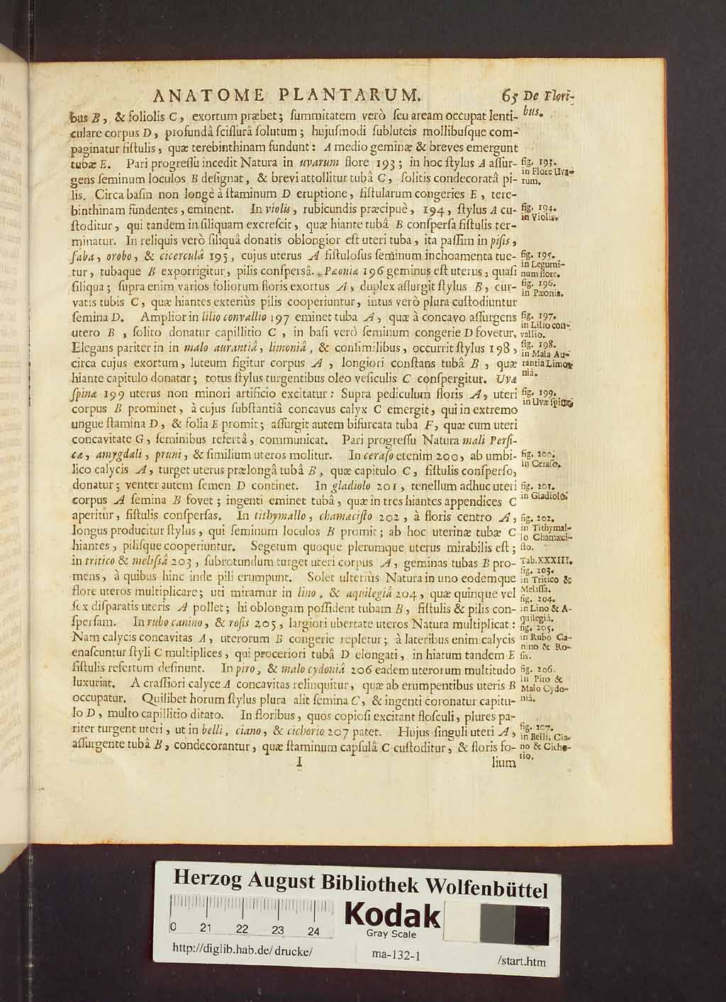 http://diglib.hab.de/drucke/ma-132-1/00087.jpg