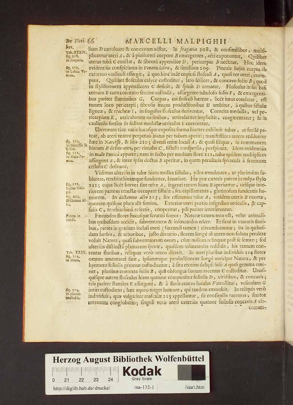 http://diglib.hab.de/drucke/ma-132-1/00088.jpg