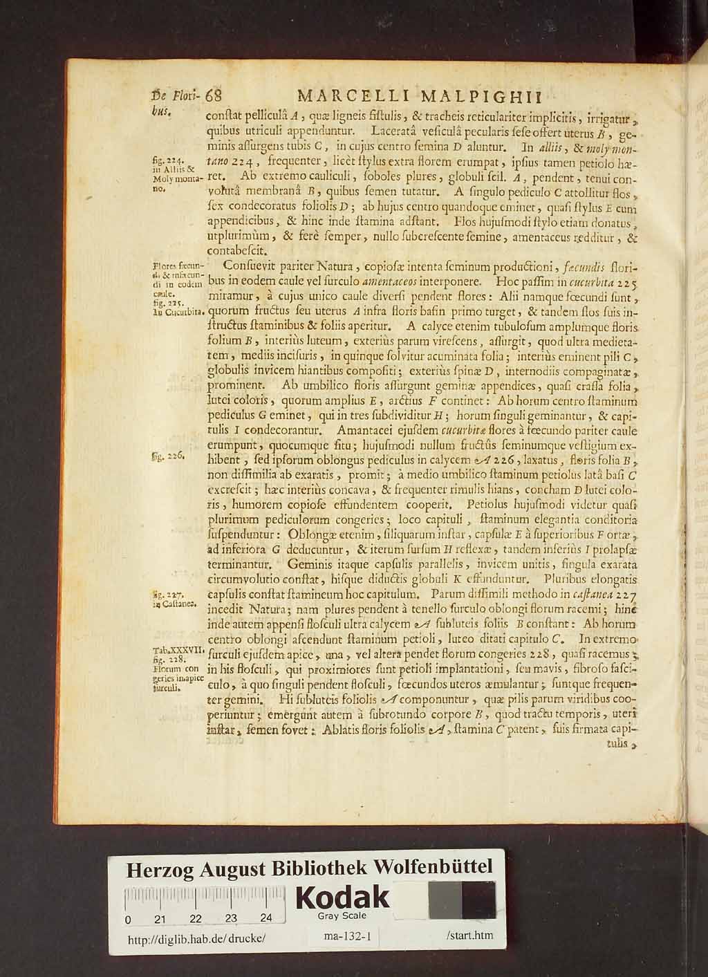 http://diglib.hab.de/drucke/ma-132-1/00090.jpg