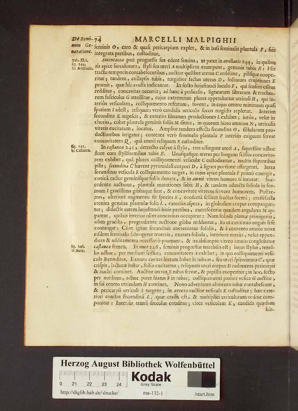 http://diglib.hab.de/drucke/ma-132-1/00096.jpg