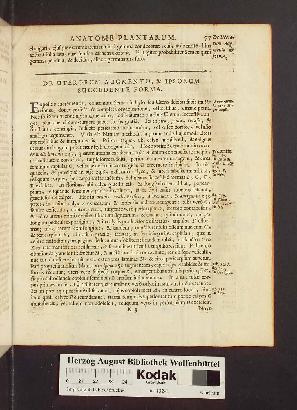 http://diglib.hab.de/drucke/ma-132-1/00099.jpg