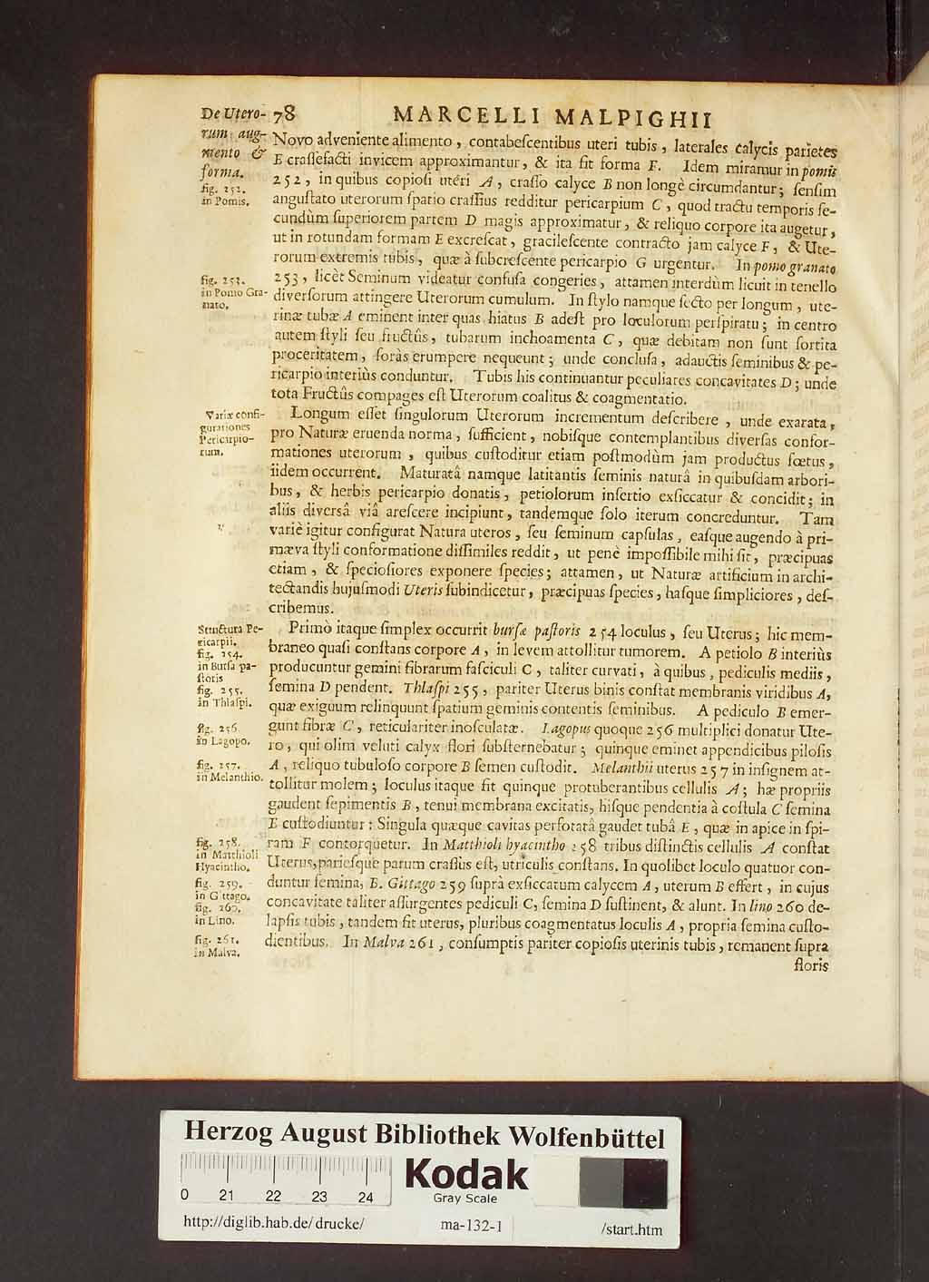 http://diglib.hab.de/drucke/ma-132-1/00100.jpg