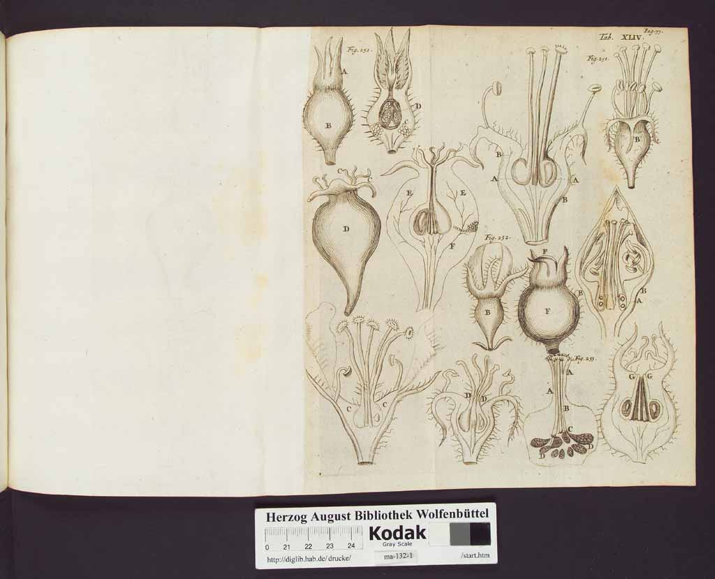 http://diglib.hab.de/drucke/ma-132-1/00100b.jpg