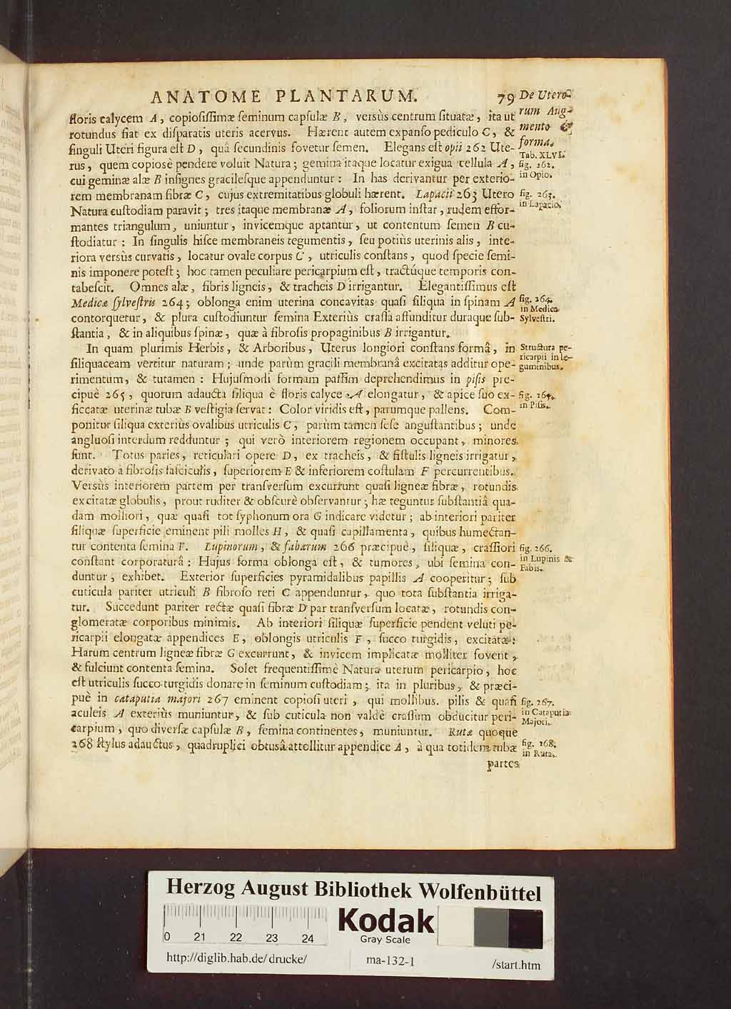 http://diglib.hab.de/drucke/ma-132-1/00101.jpg