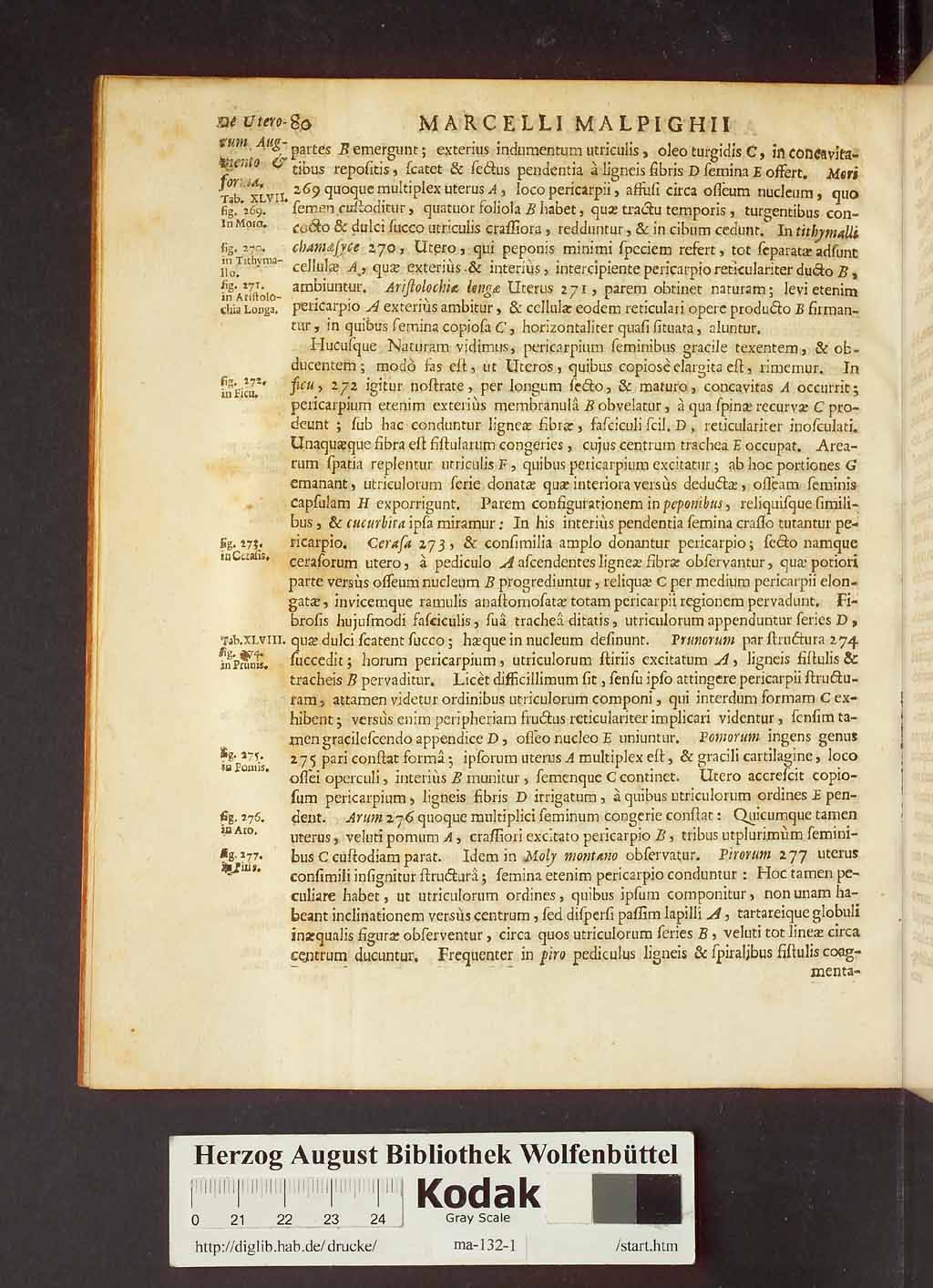 http://diglib.hab.de/drucke/ma-132-1/00102.jpg