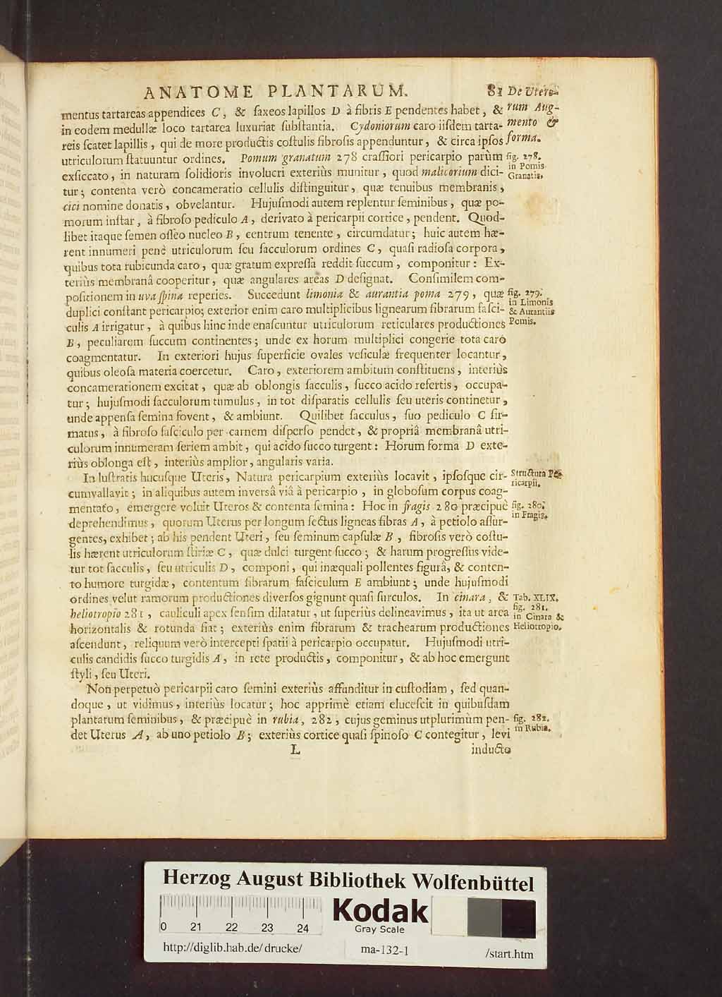 http://diglib.hab.de/drucke/ma-132-1/00103.jpg