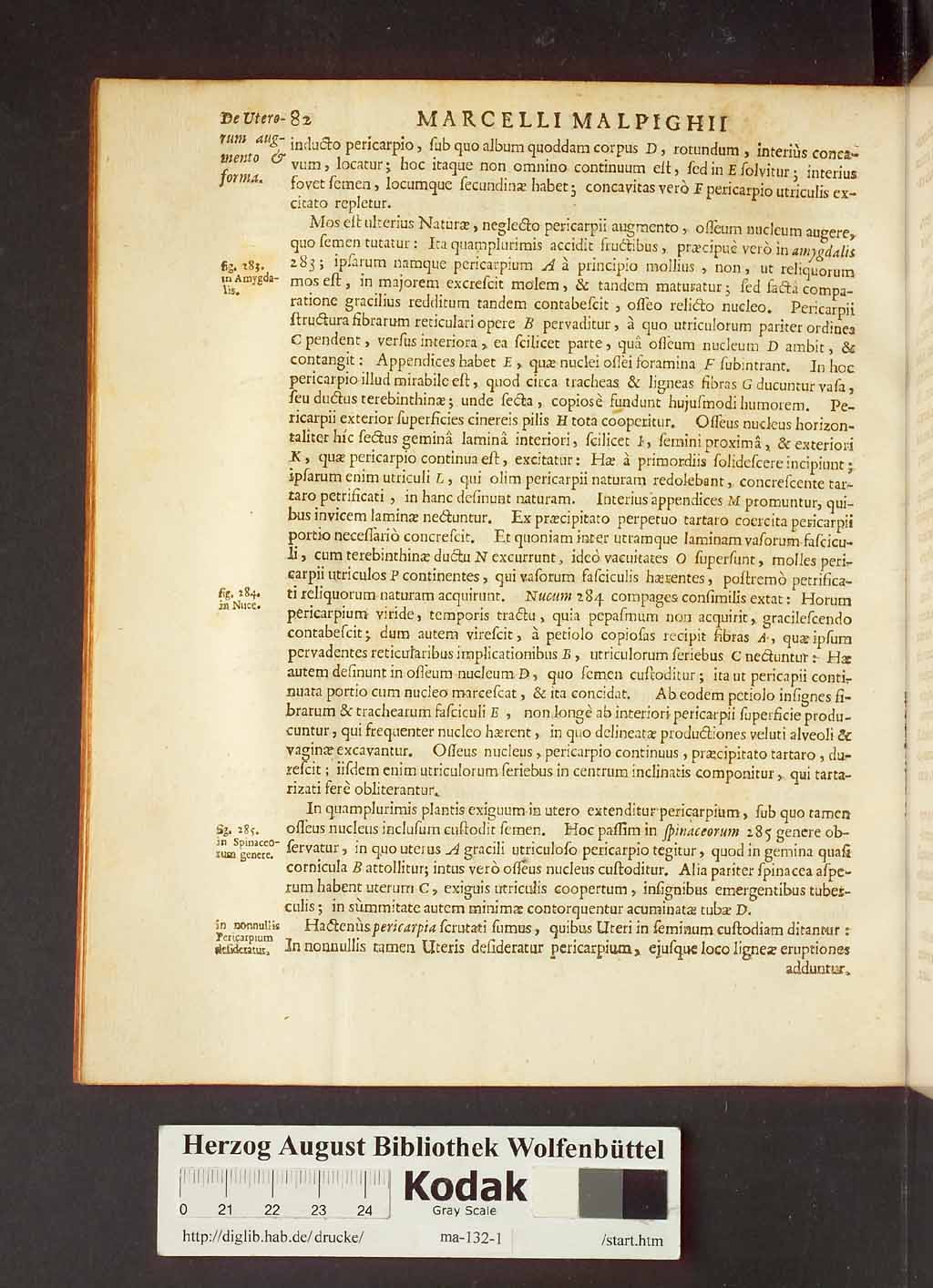 http://diglib.hab.de/drucke/ma-132-1/00104.jpg