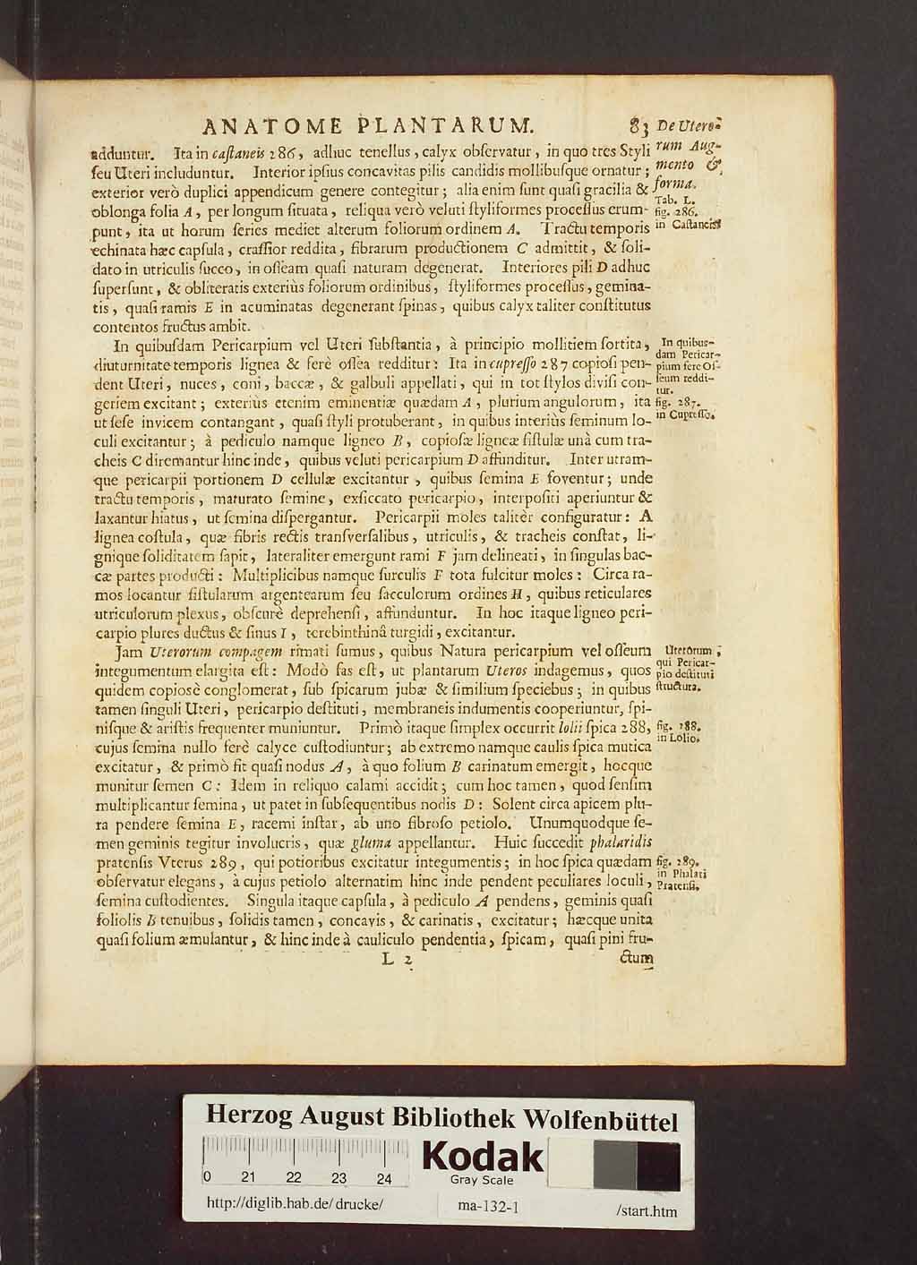 http://diglib.hab.de/drucke/ma-132-1/00105.jpg