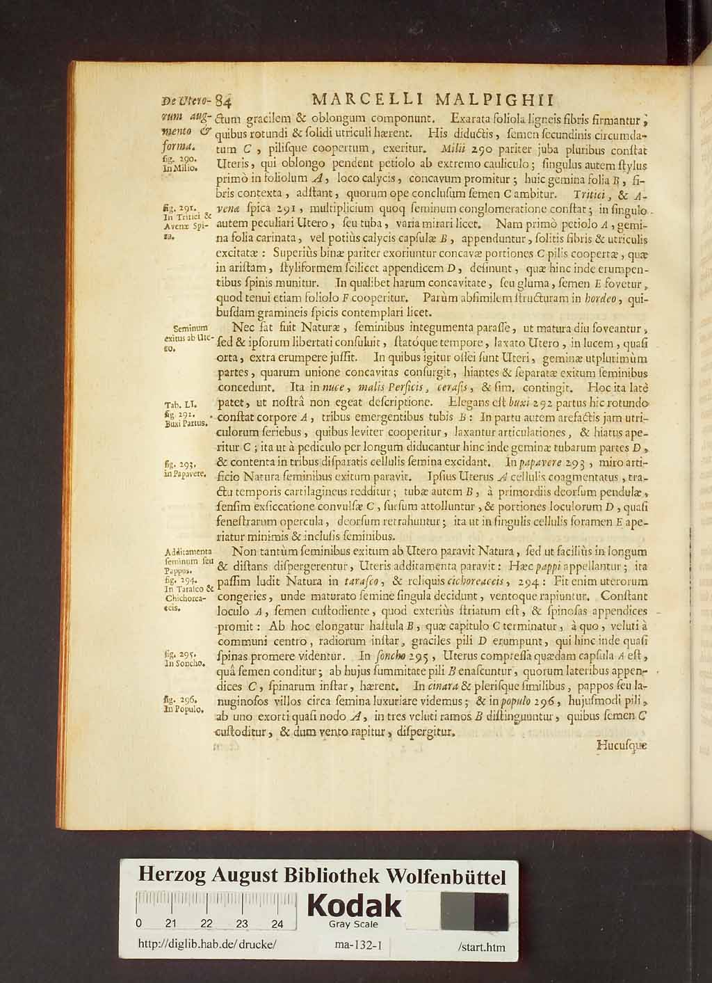 http://diglib.hab.de/drucke/ma-132-1/00106.jpg