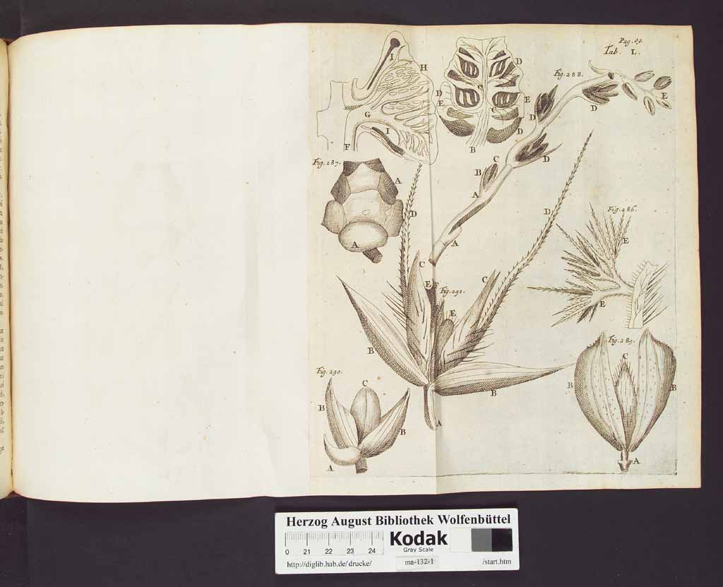 http://diglib.hab.de/drucke/ma-132-1/00106a.jpg