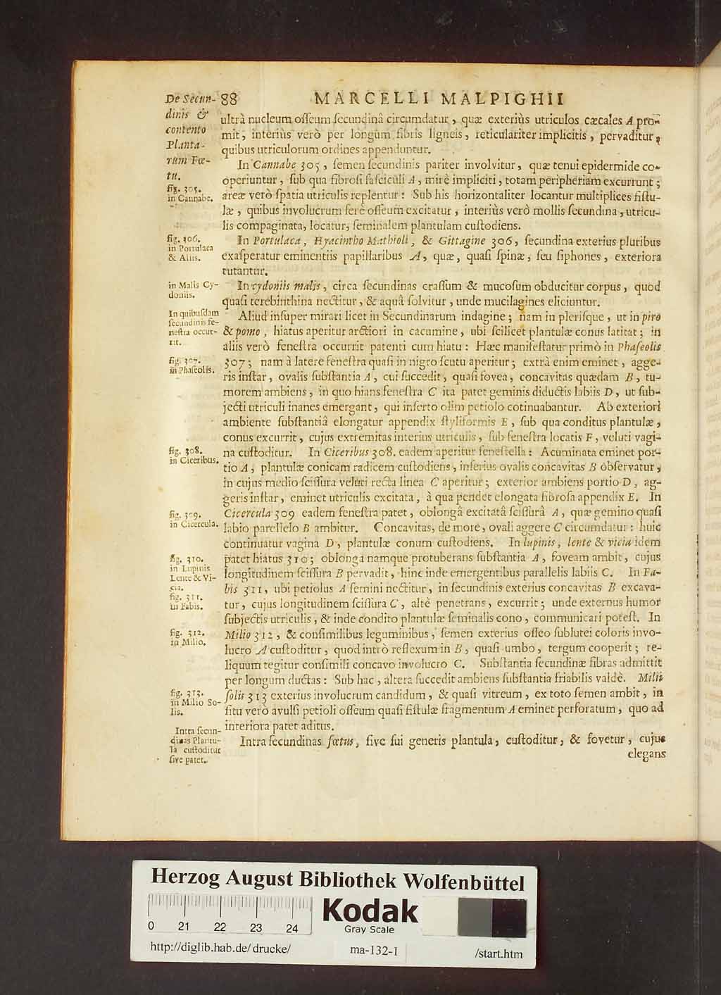 http://diglib.hab.de/drucke/ma-132-1/00110.jpg