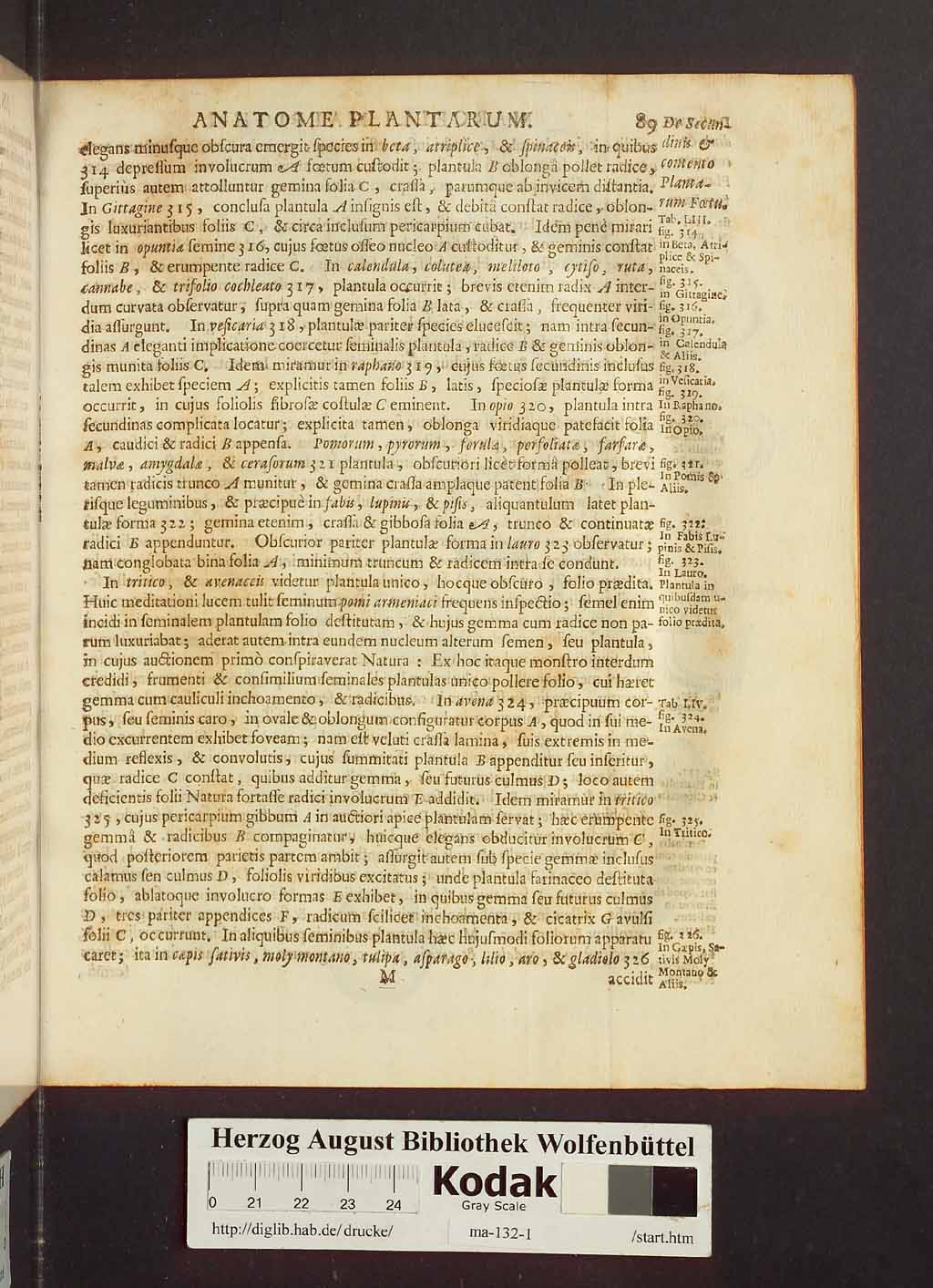 http://diglib.hab.de/drucke/ma-132-1/00111.jpg