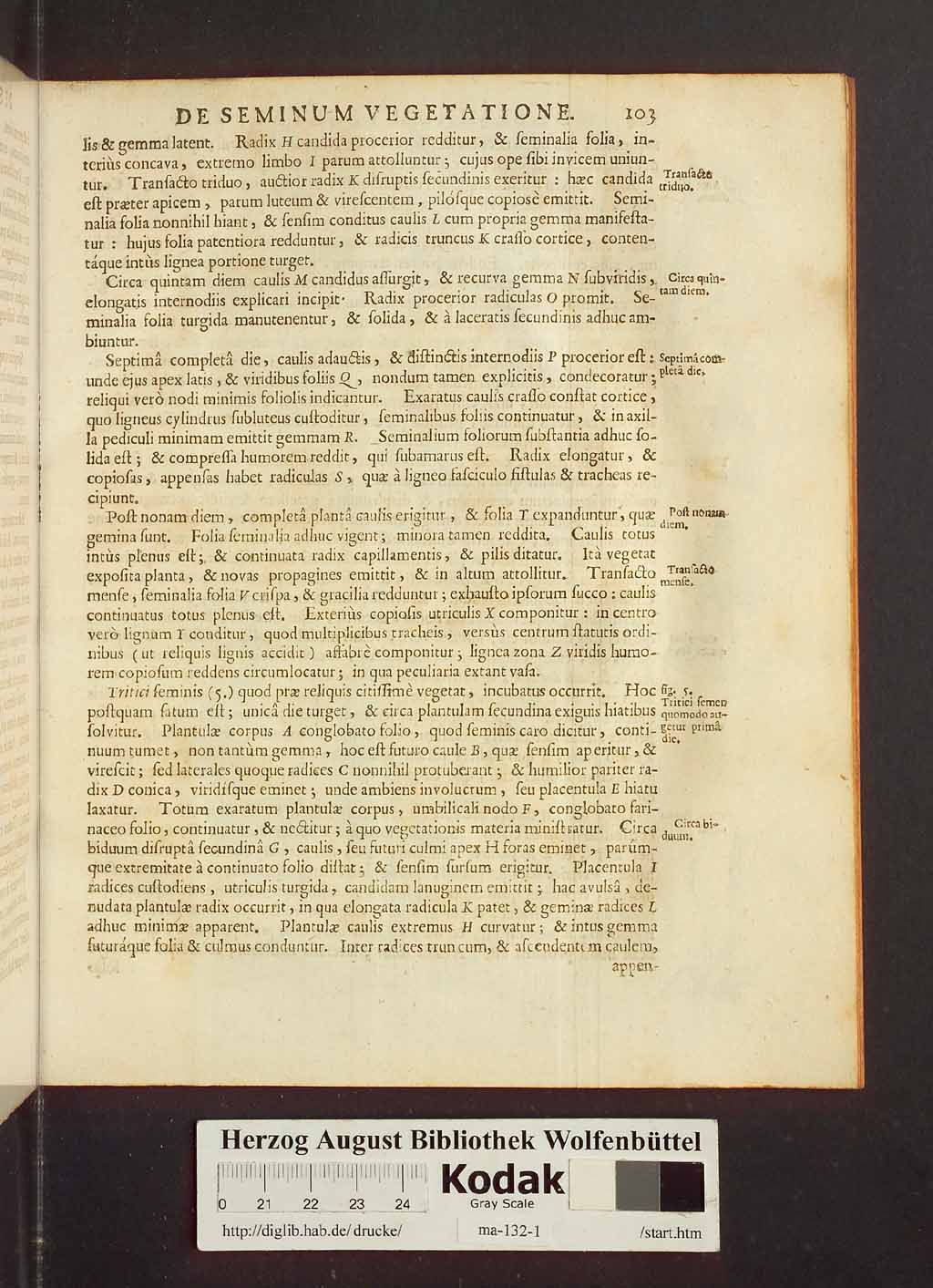 http://diglib.hab.de/drucke/ma-132-1/00125.jpg