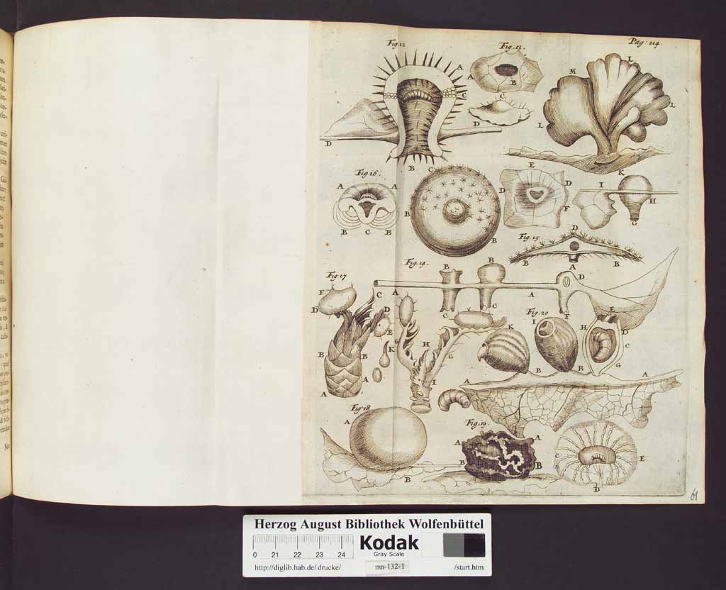 http://diglib.hab.de/drucke/ma-132-1/00138a.jpg