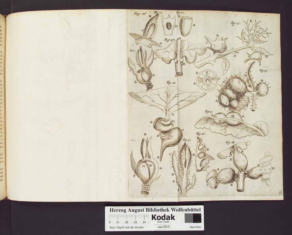 http://diglib.hab.de/drucke/ma-132-1/00140a.jpg