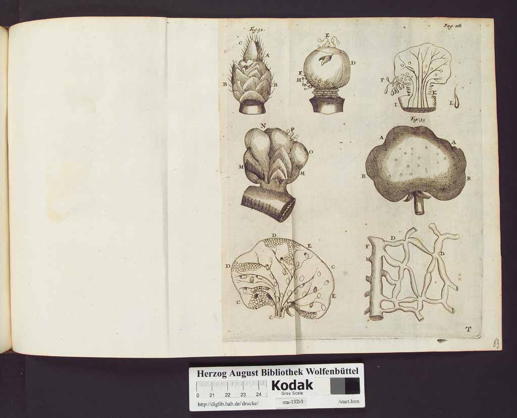 http://diglib.hab.de/drucke/ma-132-1/00140b.jpg