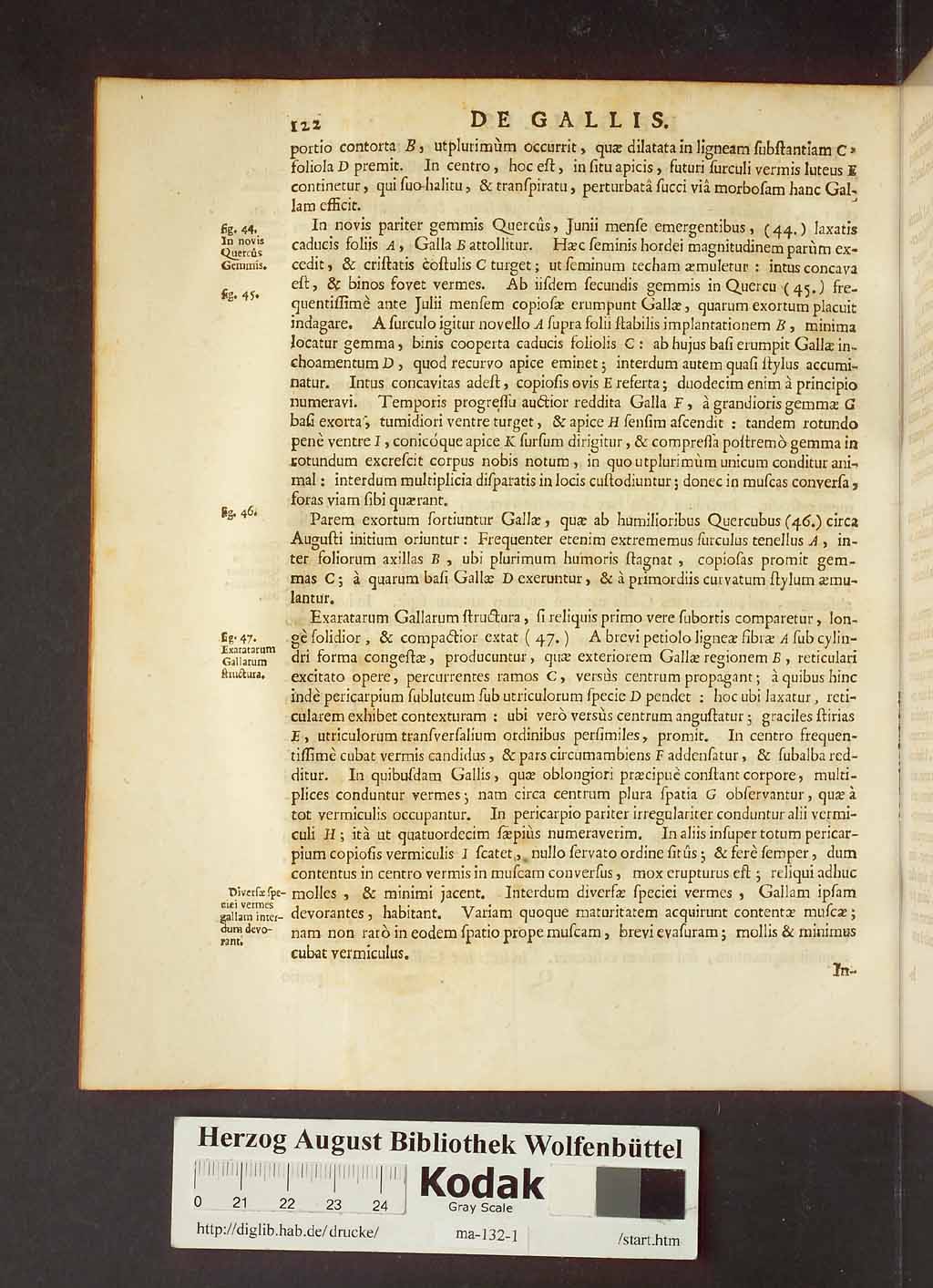 http://diglib.hab.de/drucke/ma-132-1/00144.jpg