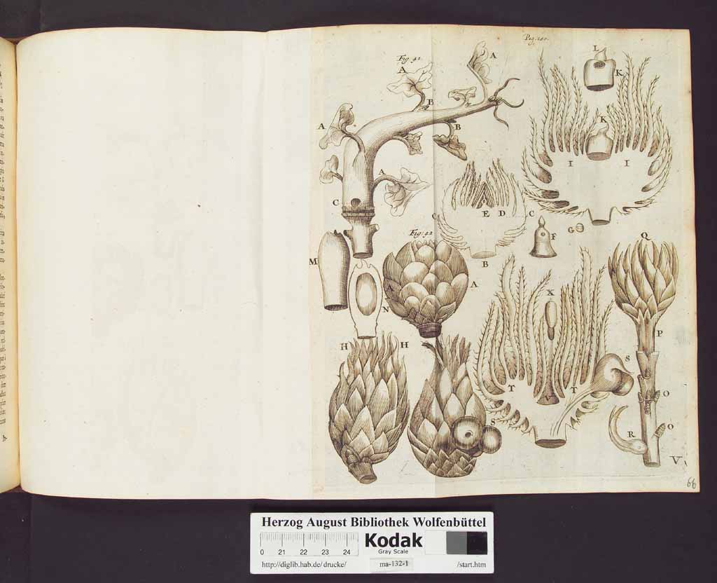 http://diglib.hab.de/drucke/ma-132-1/00144a.jpg
