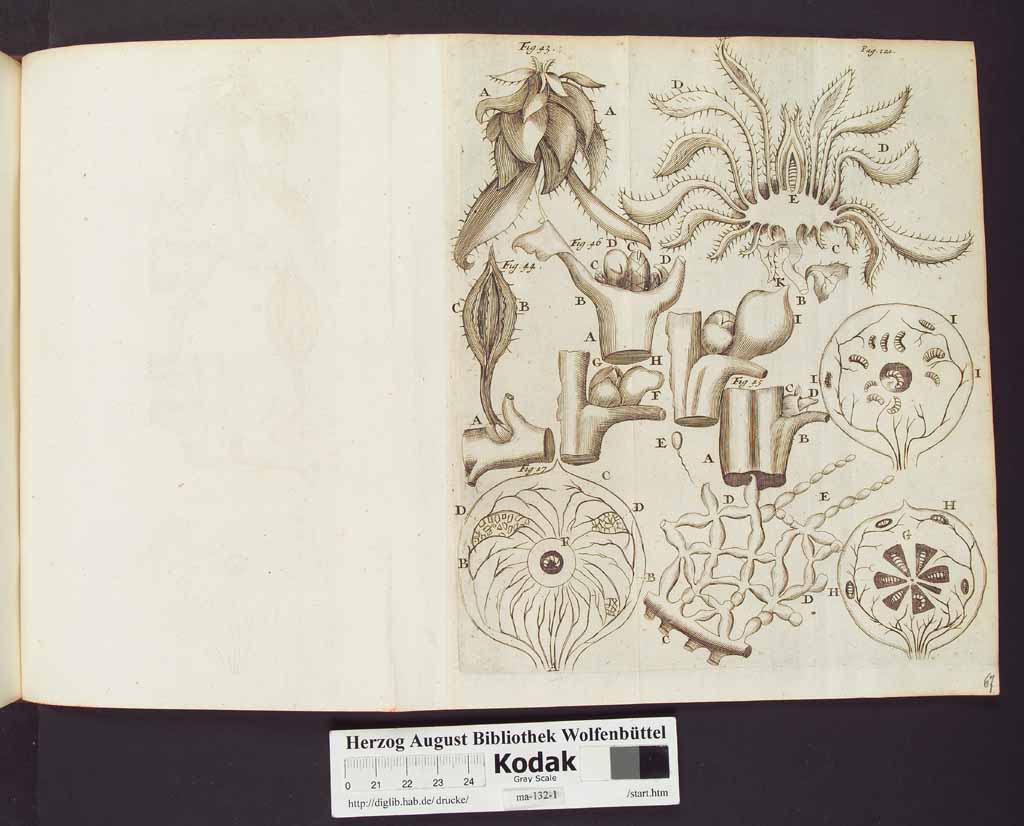 http://diglib.hab.de/drucke/ma-132-1/00144b.jpg