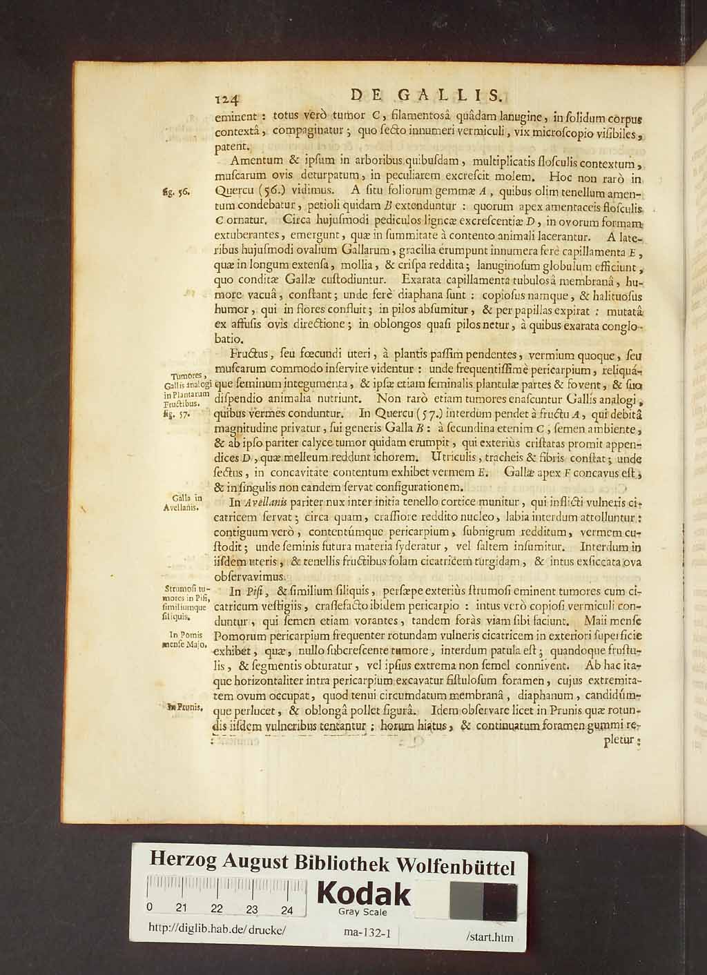 http://diglib.hab.de/drucke/ma-132-1/00146.jpg