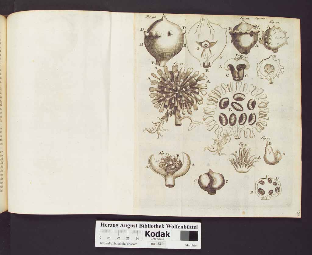 http://diglib.hab.de/drucke/ma-132-1/00146a.jpg