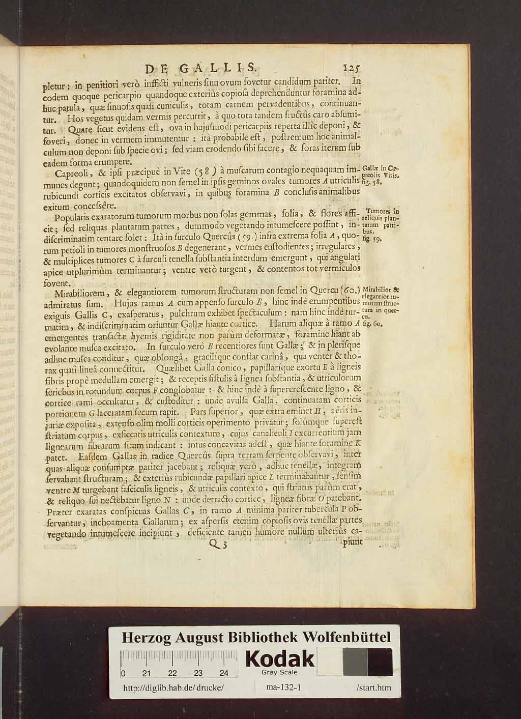 http://diglib.hab.de/drucke/ma-132-1/00147.jpg
