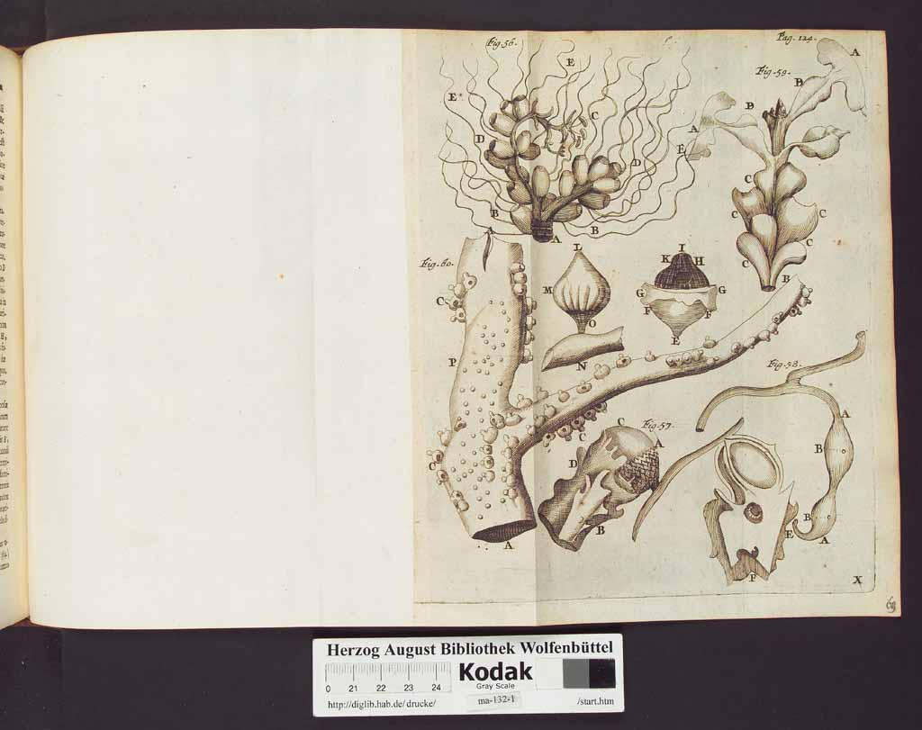 http://diglib.hab.de/drucke/ma-132-1/00148a.jpg