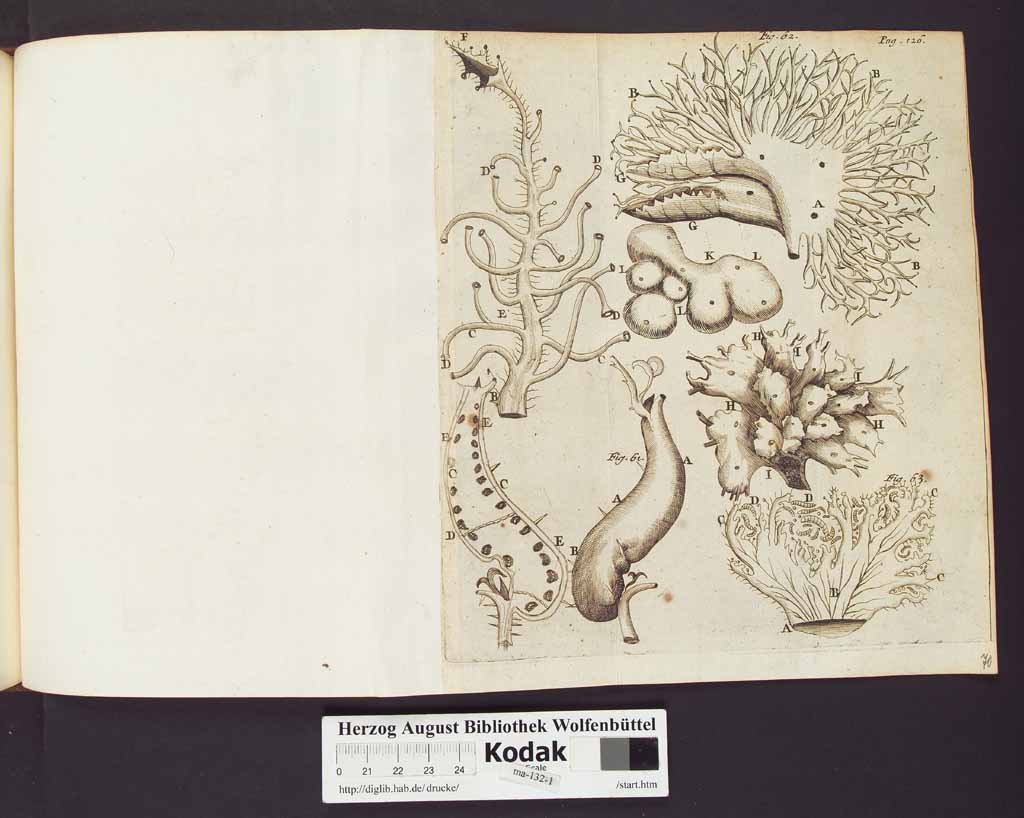 http://diglib.hab.de/drucke/ma-132-1/00148b.jpg