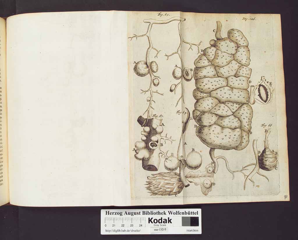 http://diglib.hab.de/drucke/ma-132-1/00150a.jpg