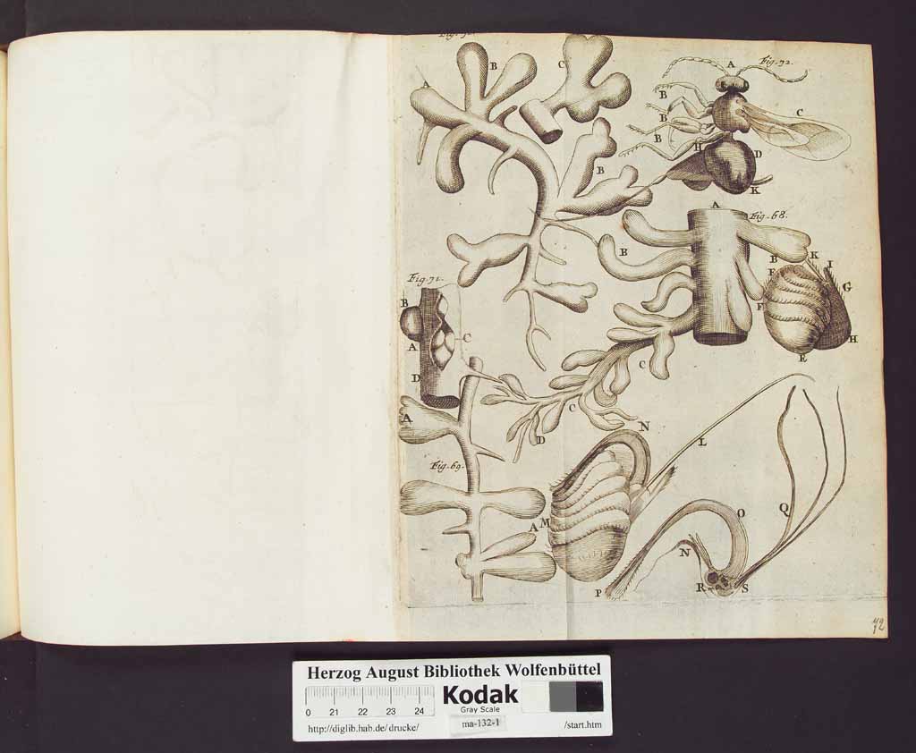 http://diglib.hab.de/drucke/ma-132-1/00150b.jpg