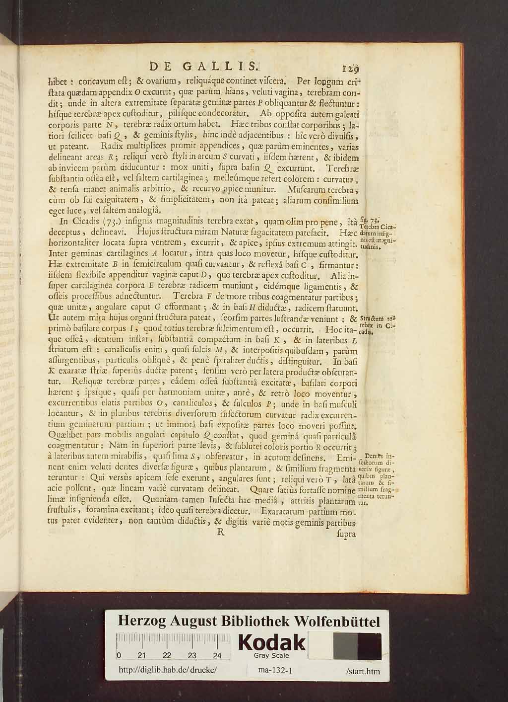 http://diglib.hab.de/drucke/ma-132-1/00151.jpg